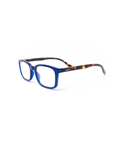 Savona - Kit of 24 Reading Glasses