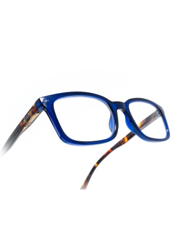 Savona - Kit of 24 Reading Glasses