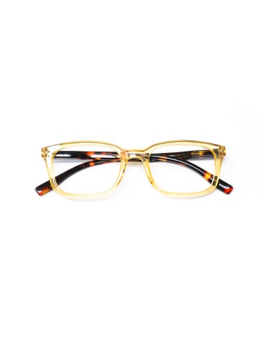 Savona - Kit of 24 Reading Glasses