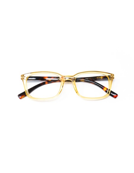Savona - Kit of 24 Reading Glasses