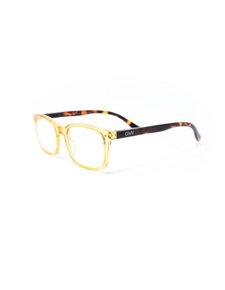 Savona - Kit of 24 Reading Glasses