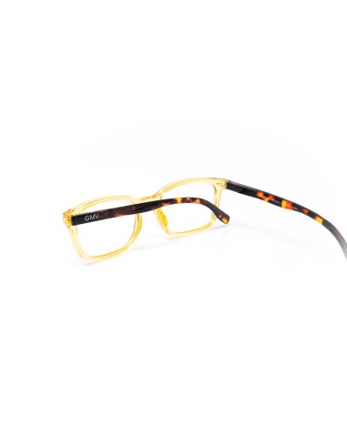 Savona - Kit of 24 Reading Glasses