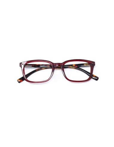 Savona - Kit of 24 Reading Glasses