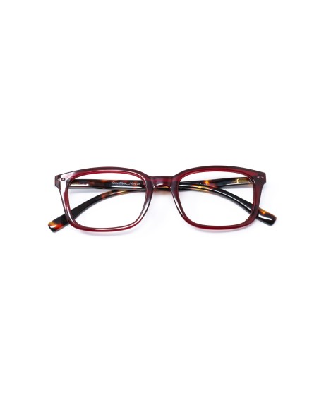 Savona - Kit of 24 Reading Glasses