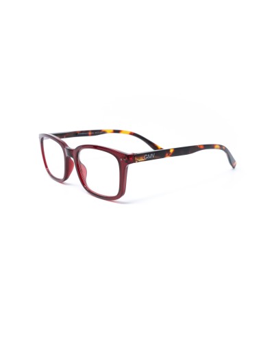 Savona - Kit of 24 Reading Glasses