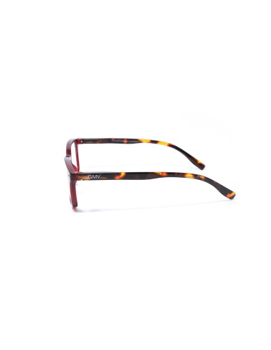 Savona - Kit of 24 Reading Glasses