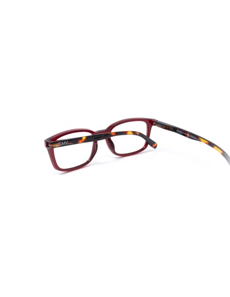 Savona - Kit of 24 Reading Glasses