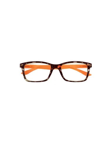 Fashion - Kit of 24 Reading Glasses