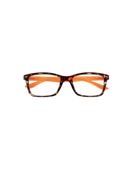 Fashion - Kit of 24 Reading Glasses