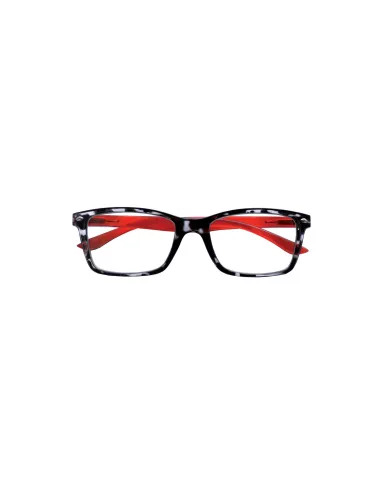 Fashion - Kit of 24 Reading Glasses