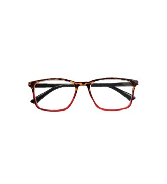 Double - Kit of 24 Reading Glasses 2