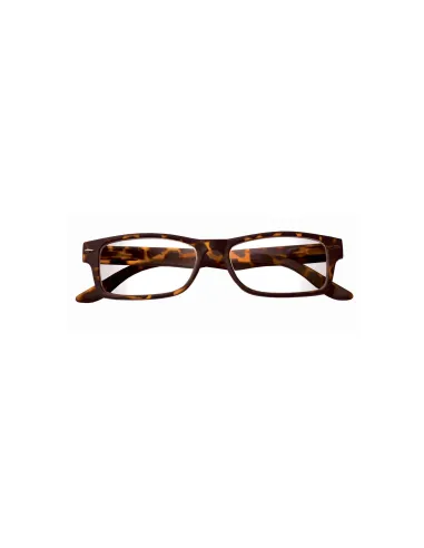 Boss - Kit of 24 Reading Glasses