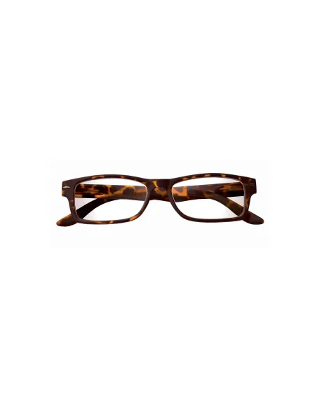 Boss - Kit of 24 Reading Glasses