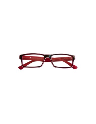 Luster - Kit of 24 Reading Glasses