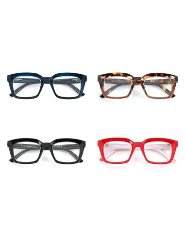 Bold - Kit of 24 Reading Glasses