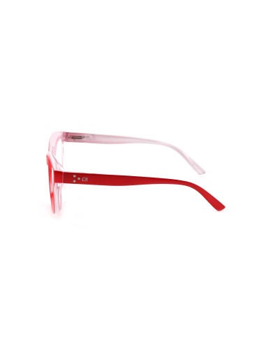 Bold - Kit of 24 Reading Glasses