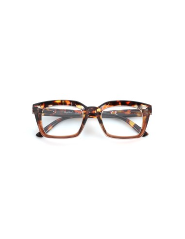 Bold - Kit of 24 Reading Glasses