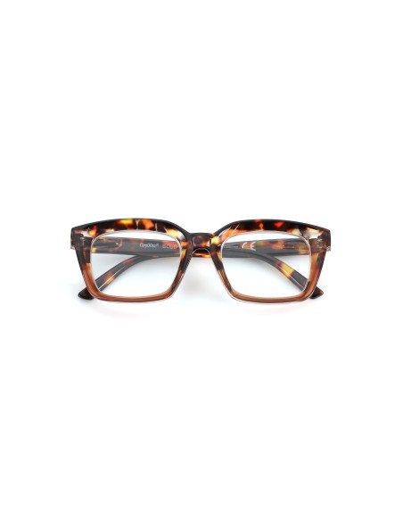 Bold - Kit of 24 Reading Glasses