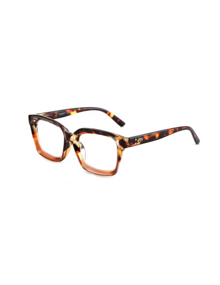 Bold - Kit of 24 Reading Glasses