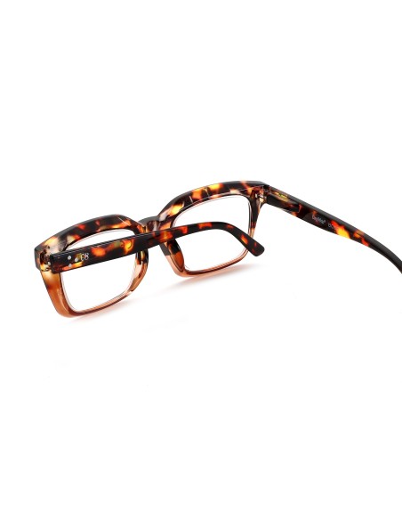 Bold - Kit of 24 Reading Glasses