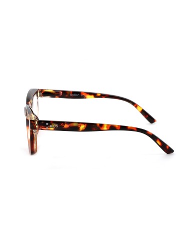 Bold - Kit of 24 Reading Glasses
