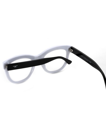 529 - Kit of 24 Reading Glasses