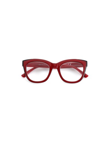529 - Kit of 24 Reading Glasses