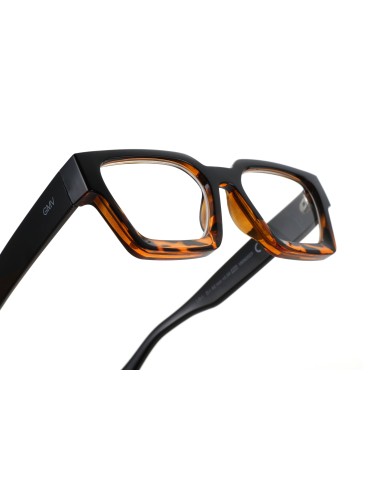 Pisa - Kit of 24 Reading Glasses