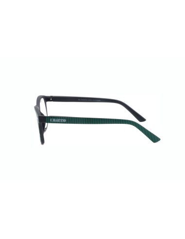 CHARRO® Reading Glasses for Close-Up Vision Michigan