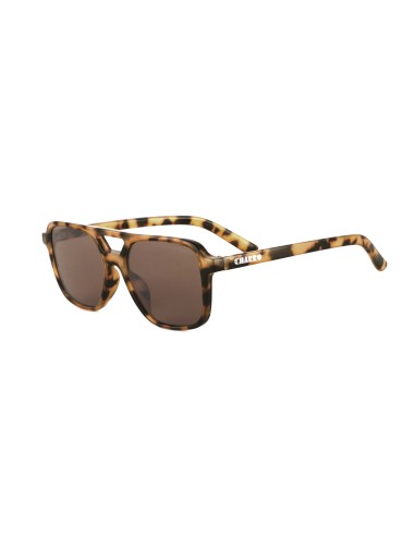 copy of copy of DE TOMASO Sunglasses 660