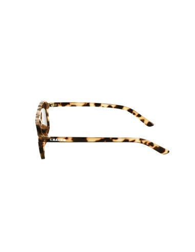 copy of copy of DE TOMASO Sunglasses 660