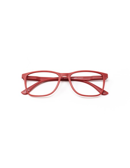 CHARRO® Occhiali da Lettura Anti-Luce Blu Vermont