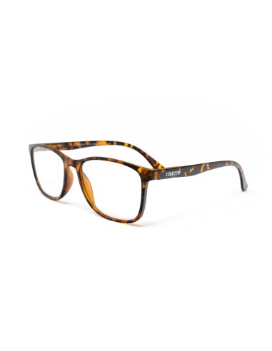 CHARRO® Occhiali da Lettura Anti-Luce Blu Vermont