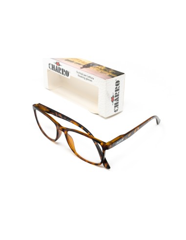 CHARRO® Occhiali da Lettura Anti-Luce Blu Vermont