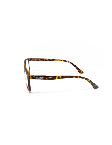CHARRO® Occhiali da Lettura Anti-Luce Blu Vermont