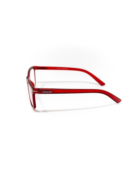 CHARRO® Washington Reading Glasses