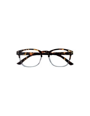 519 - Reading Glasses
