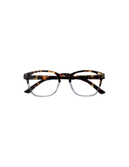 519 - Reading Glasses