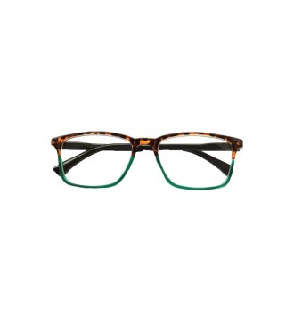 Double Reading glasses