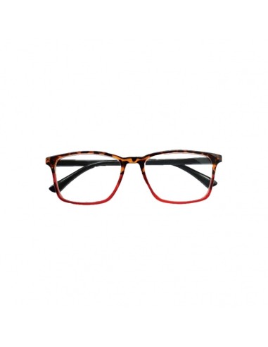 Double Reading glasses