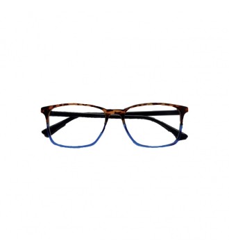 Double Reading glasses 2