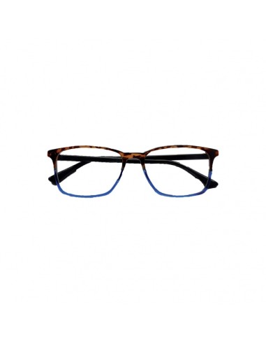 Double Reading glasses