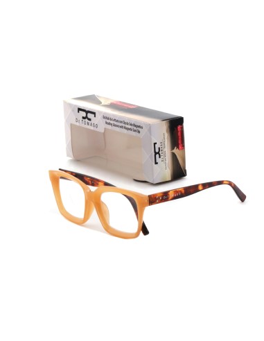 528 - Reading Glasses