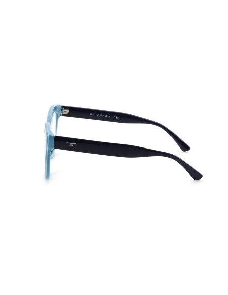 529 - Reading Glasses