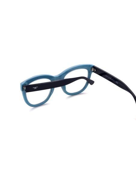 529 - Reading Glasses