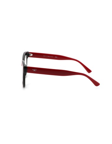 529 - Reading Glasses