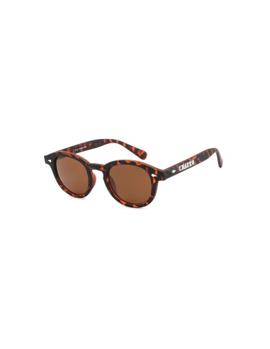 Occhiali da Sole  2602 Tartaruga-Lenti Marroni