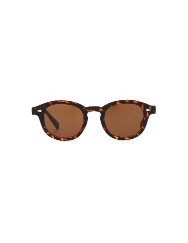 Occhiali da Sole  2602 Tartaruga-Lenti Marroni