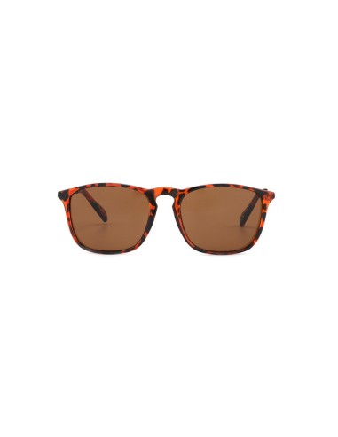 Occhiali da Sole  2704 Tartaruga/Oro-Lenti Marroni